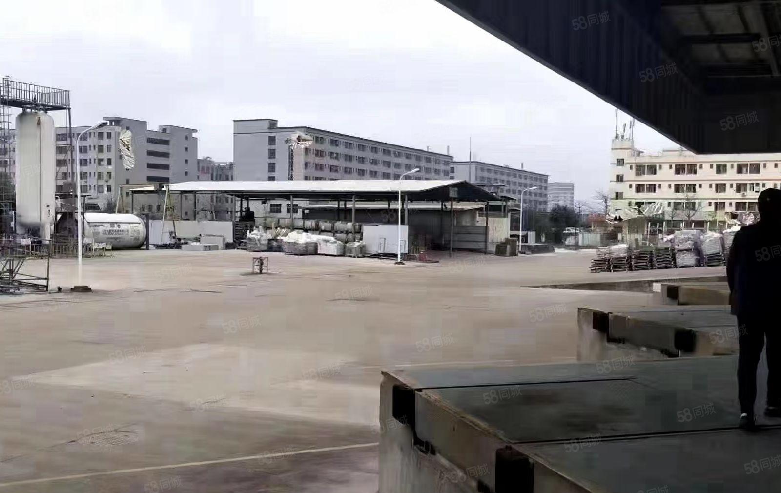 宝龙红本厂房一楼24000m2高度8米可分租用电按需