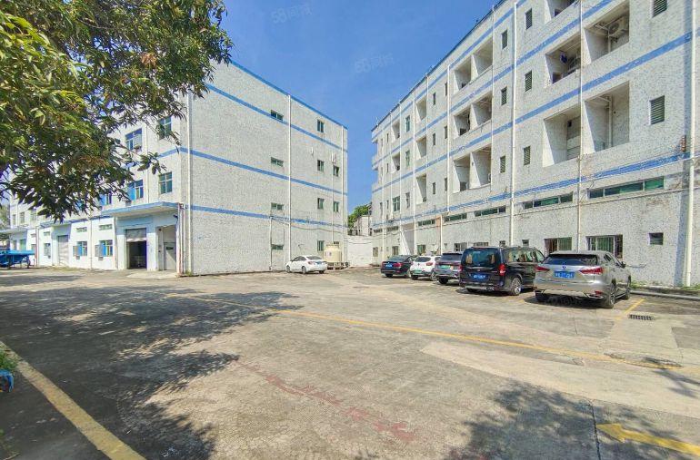 龙岗同乐爱南路边工业区内一楼500平简装仓库电商研发厂房出租