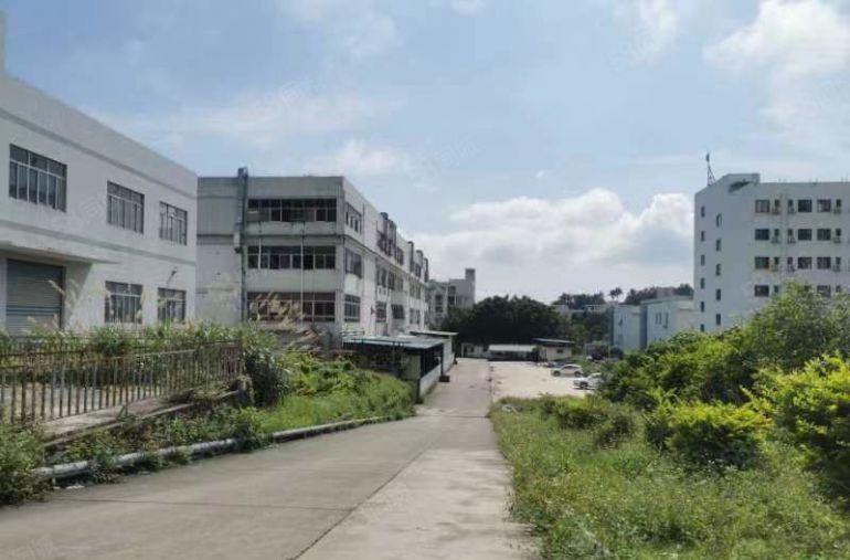 横岗地铁站附近新空出独门独院厂房5.2万平左右大小分租