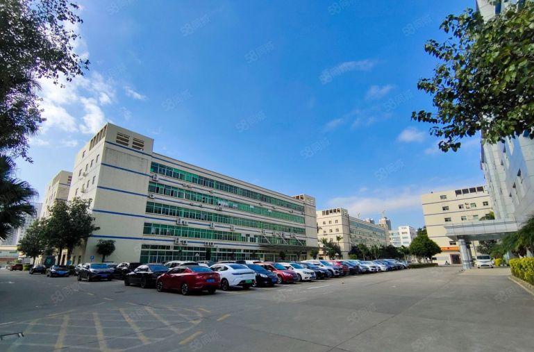 横岗主干道厂房出租1000平，行业无限制大小面积可分租