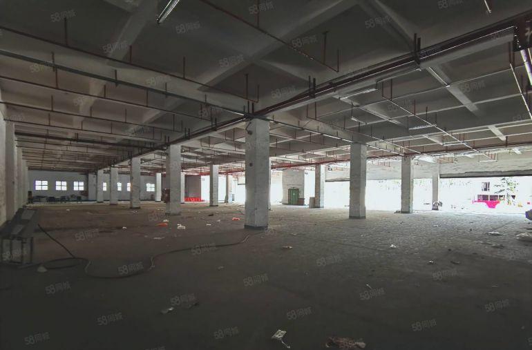 100平起分租坂田地铁口电商创意园仓库出租一楼厂房出租低价