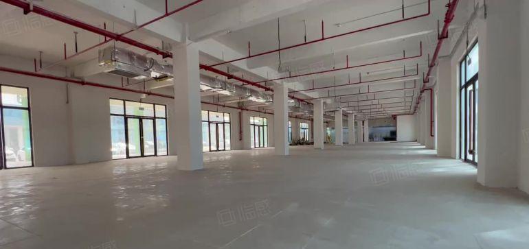 一楼3500平，横岗厂房带消防喷淋，500平起分出租