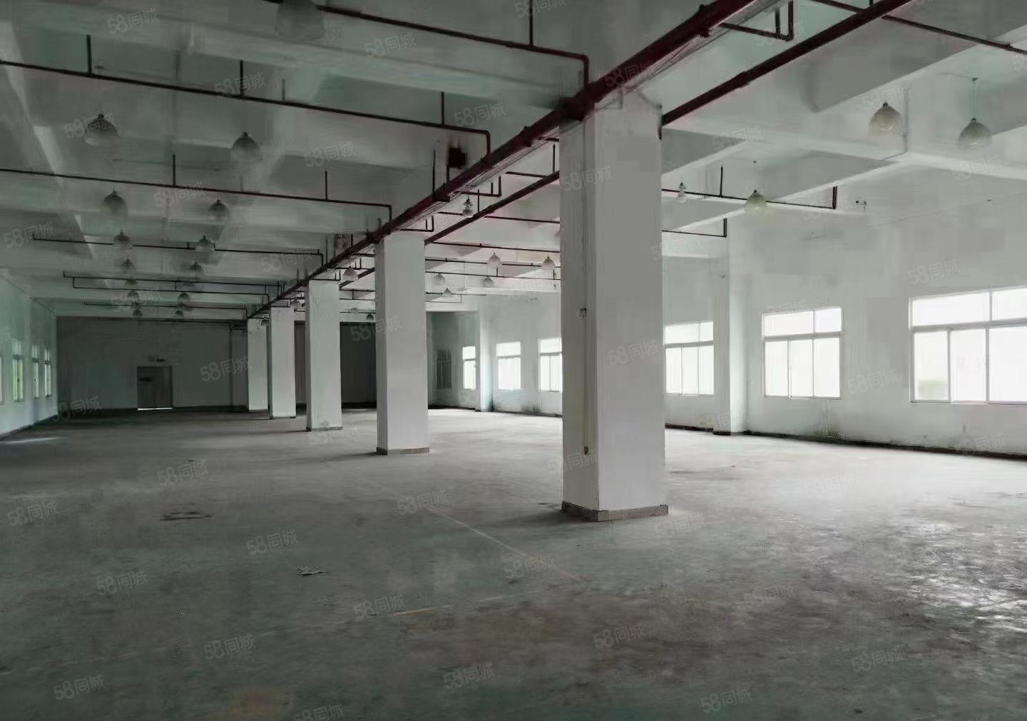 原房东独院厂房出租，实际面积