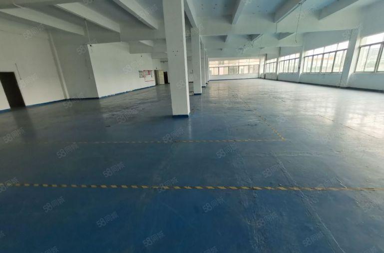 龙岗横岗厂房出租5000平独门独院整租分租仓库出租超大空地