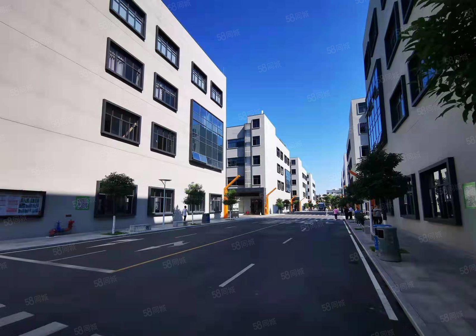 龙岗南联地铁站旁村委厂房500平出租精装修可办公仓库水电齐全