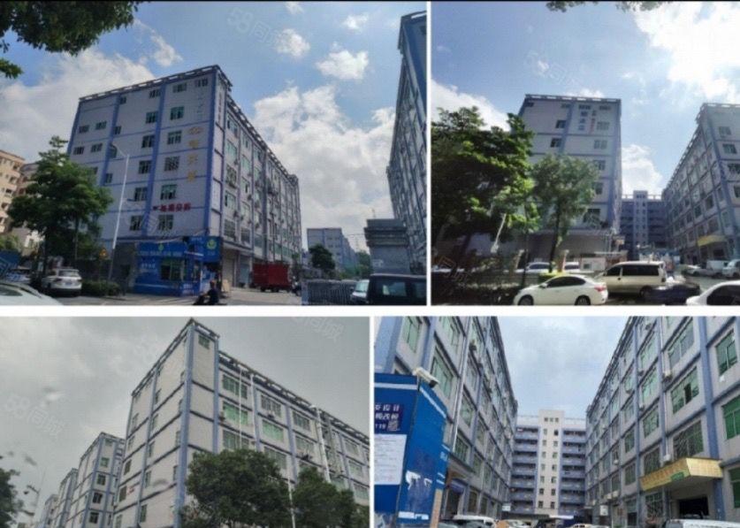 上雪科技园独门独院一至六层带装修厂房生产仓储