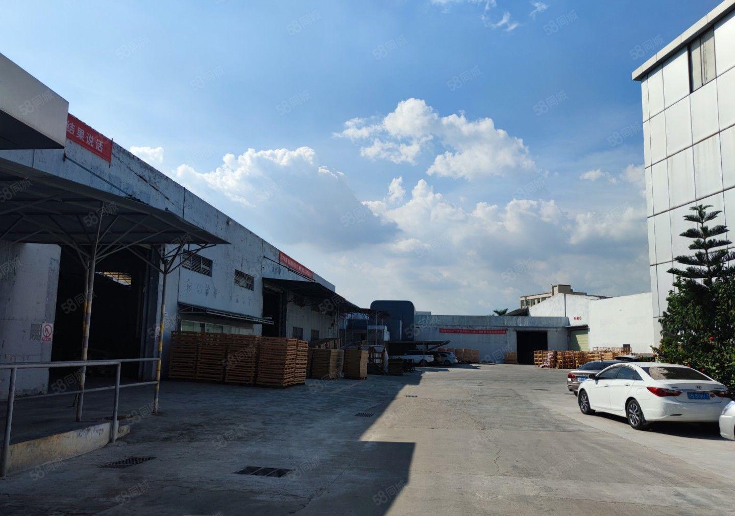 龙岗中心城滴水7米钢构厂房仓库2600平方，可分租