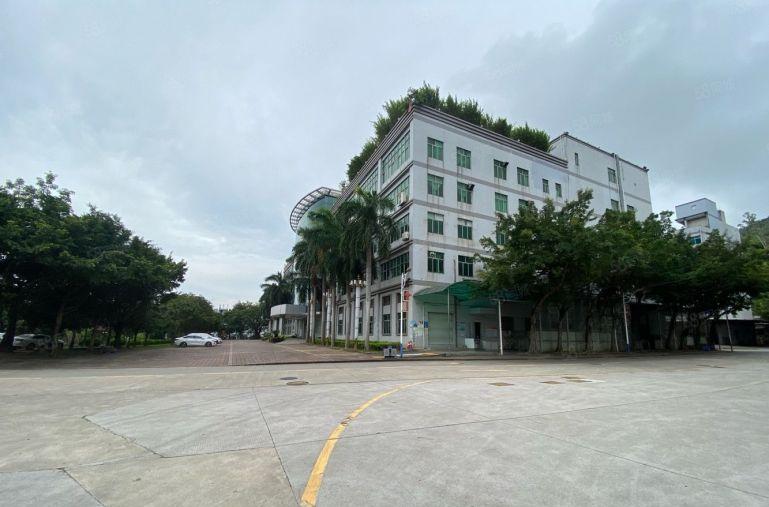 超长免租低价村委直租龙岗新空出5000平精装办公仓库厂房出租