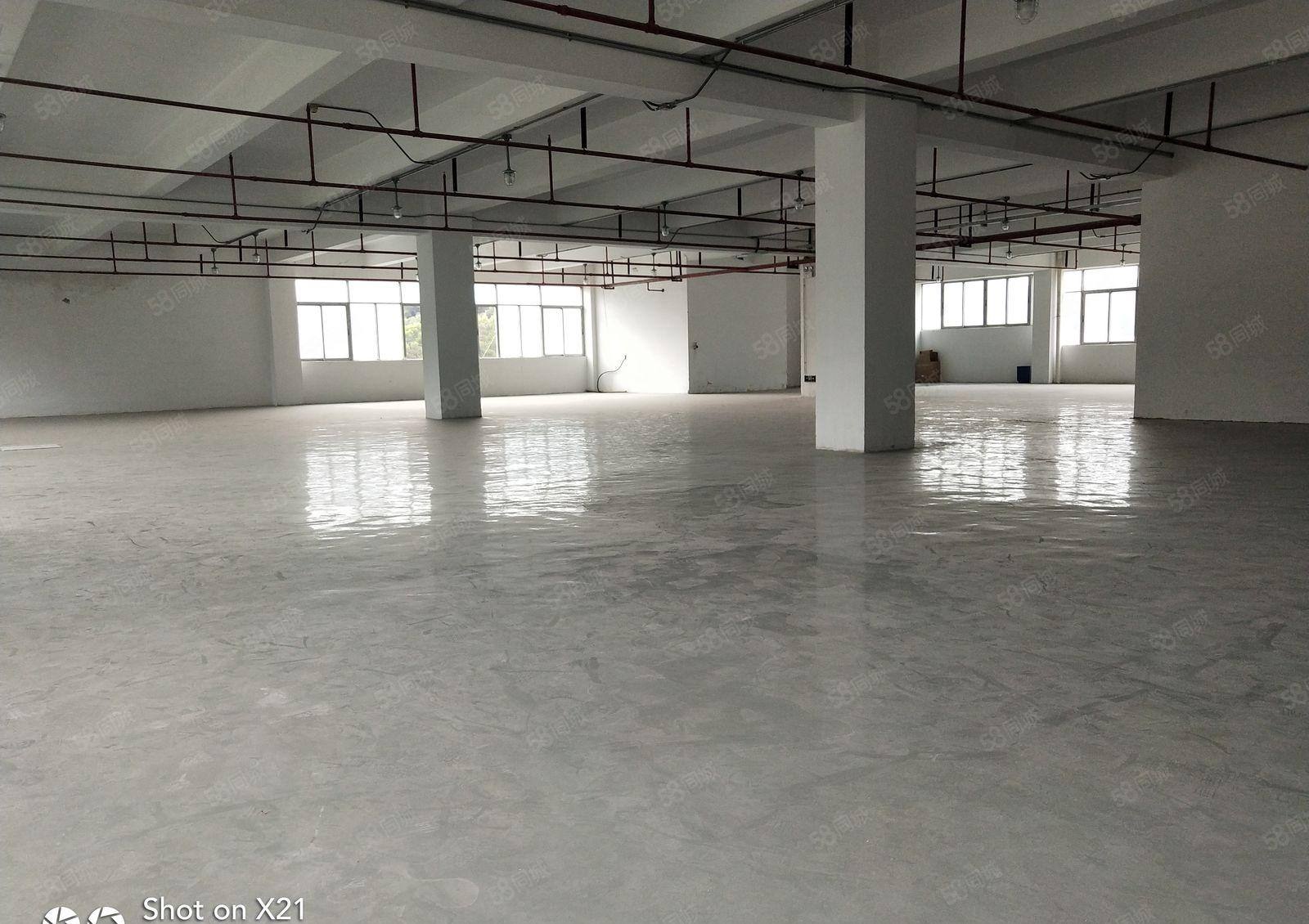 坂田独院厂房8000平米，大小分租，可分租300，500平米