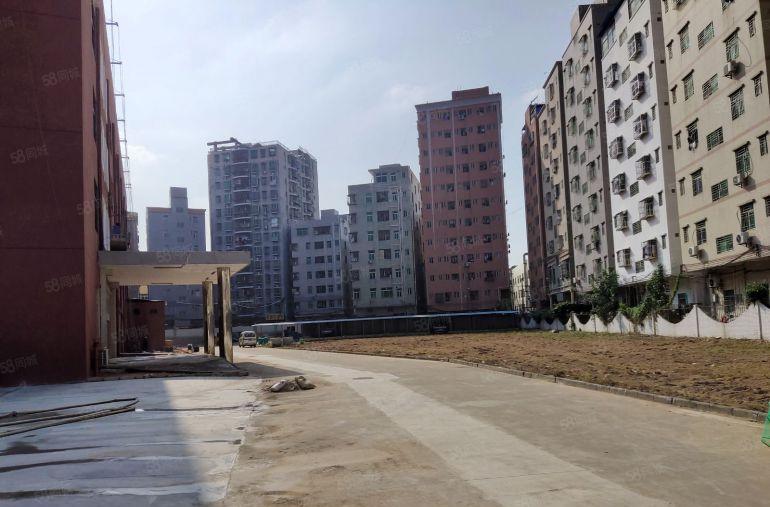 坂田上雪电商园原房东楼上2000平厂房出租红本厂房可办环评