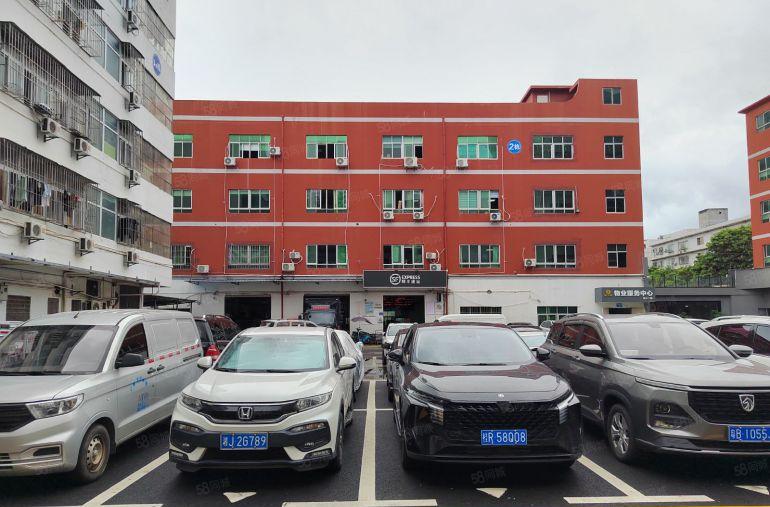 龙岗吉祥地铁口精装修电商办公室加仓库加直播间低价出租，可分租