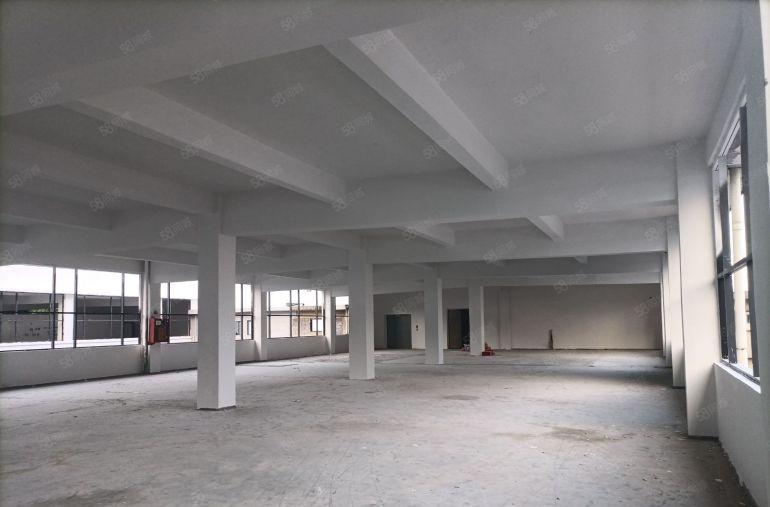 平湖电改园区，带宿舍！新装修厂房出租！