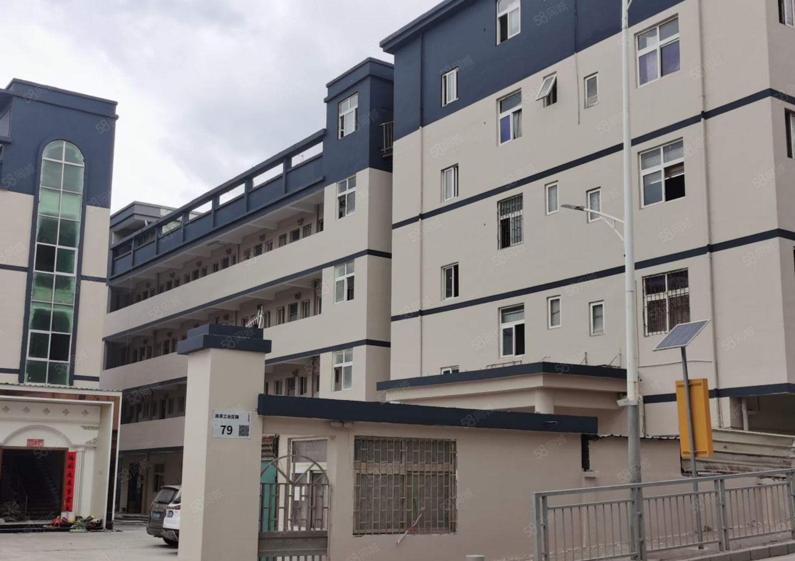 龙岗同乐红本独院厂房