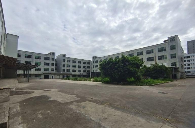 龙岗宝龙高新科技园45000平方厂房仓库出租可分租