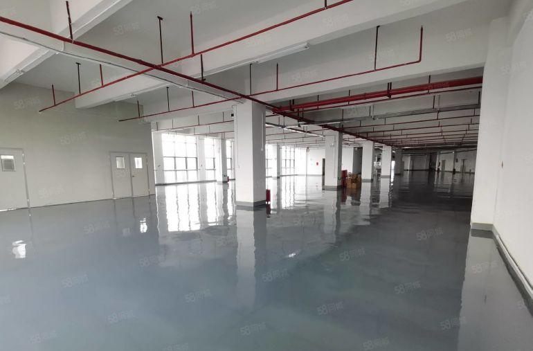 龙岗宝龙原房东工业园新出单层面积3200平厂房出租可分租一楼