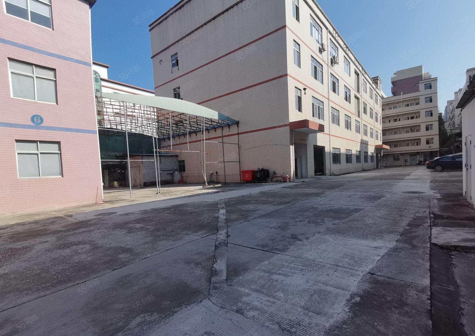 龙岗同乐新出原房东花园式独院8500平厂房出租可分租一楼6米