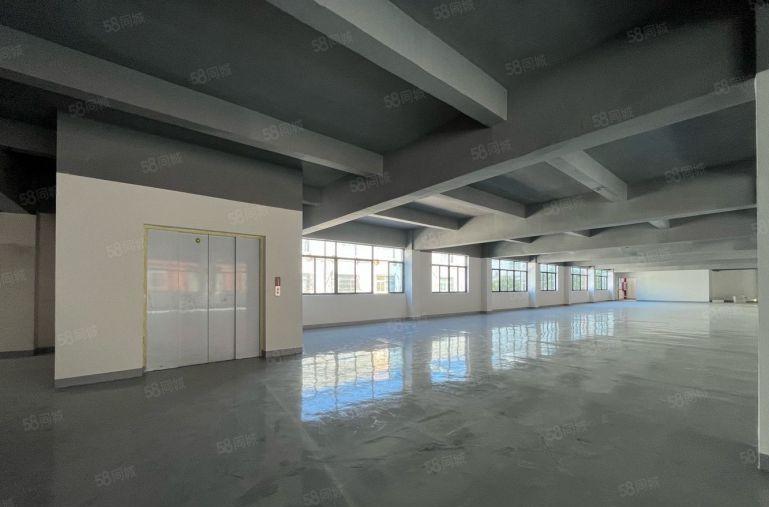 横岗塘坑地铁口厂房出租1000平可分租办公电商仓储