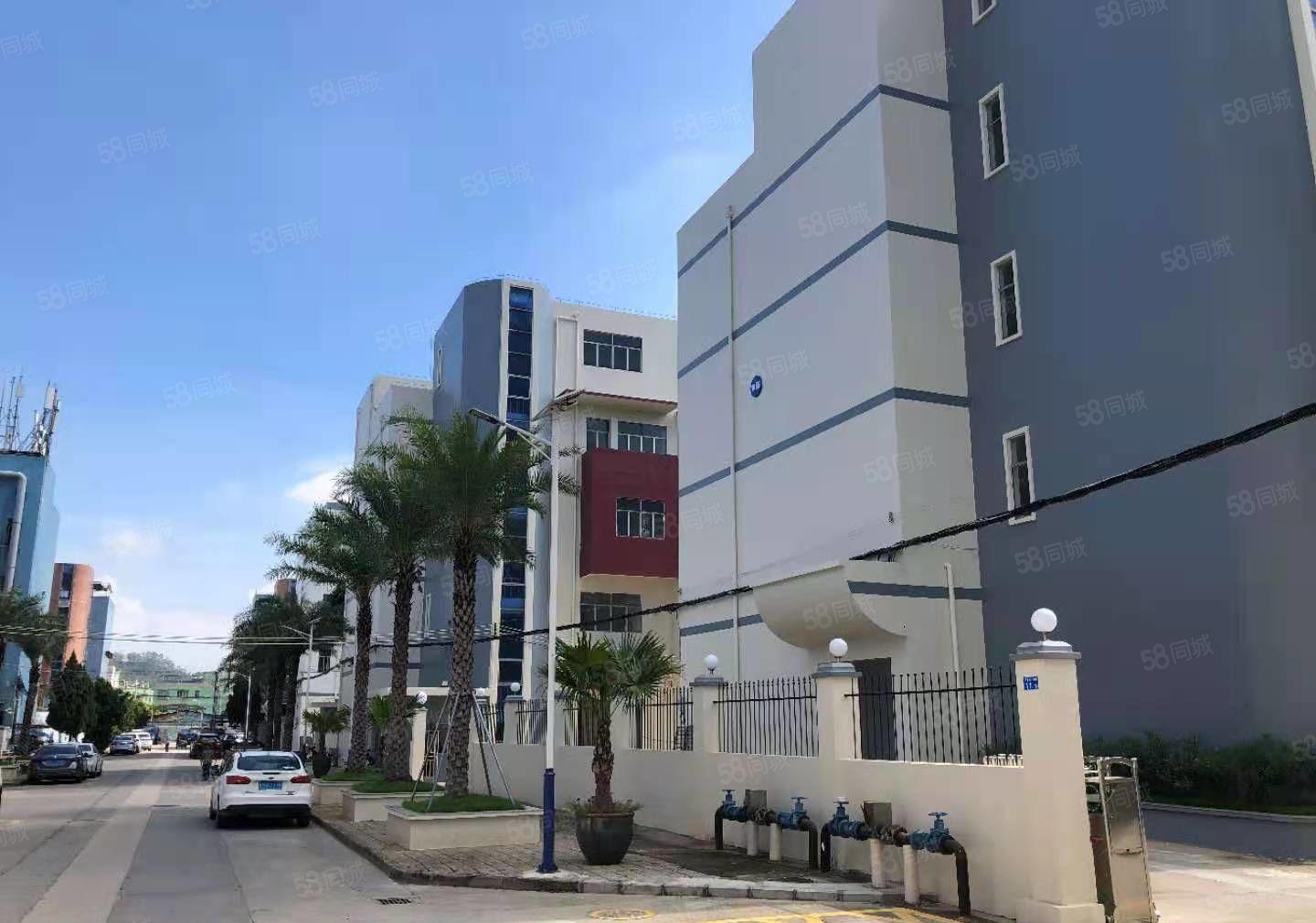 龙岗独门独院厂房出租6500平共8套坪地同乐坪山20元一平