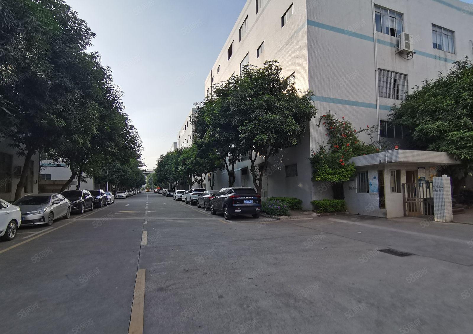 平湖富民工业区二楼整层350平小面积厂房出租水电齐全可当一楼