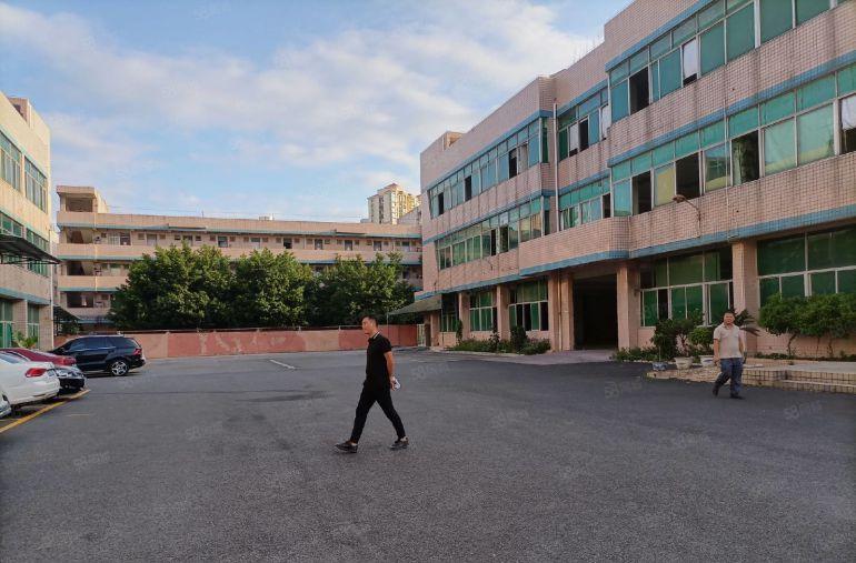 平湖独院新出一楼2200平方厂房仓库出租可分租形象好交通便利