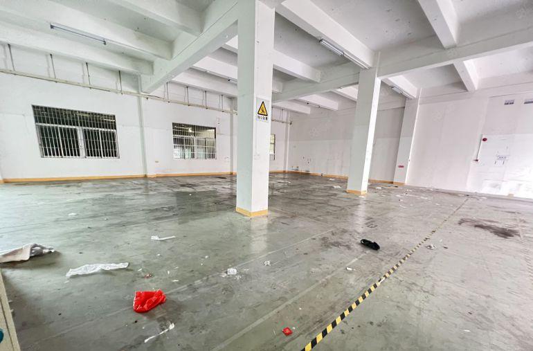 龙岗区坪地街道大型工业区2000平一楼标准厂房低价出租可分租