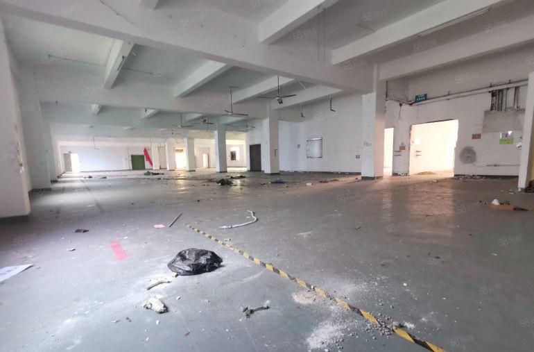 龙岗横岗厂房出租100平起工业园办公工业仓库一楼出租超大空地
