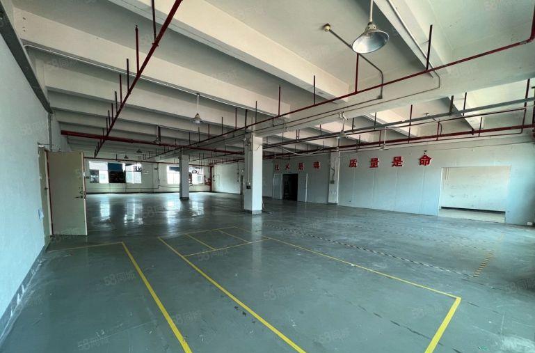 坂田华为地铁站原房东单层带装修1200平办公厂房仓库出租分租