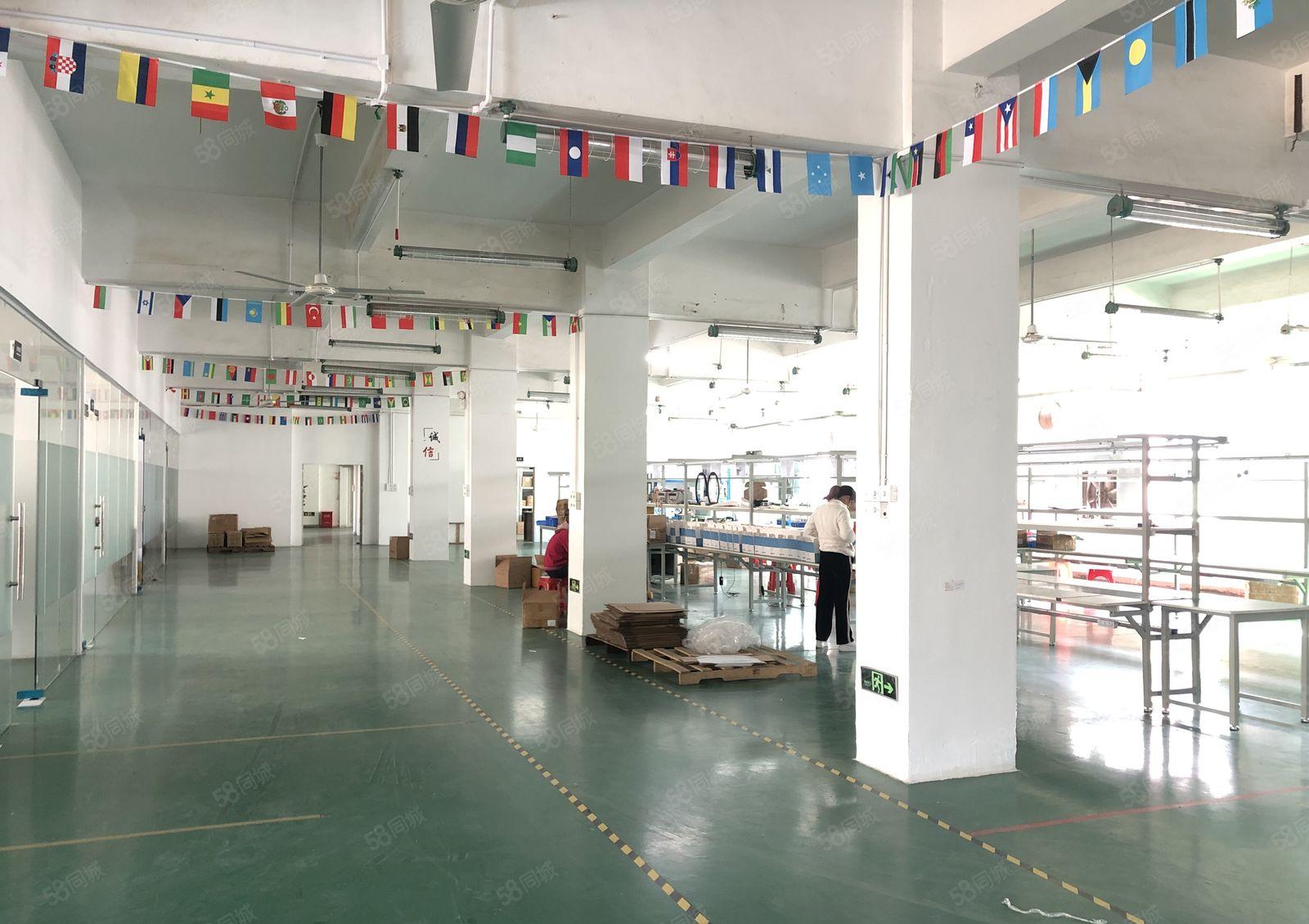 坪地中心村原房东独院厂房13000平方带精装修厂房出租可分租