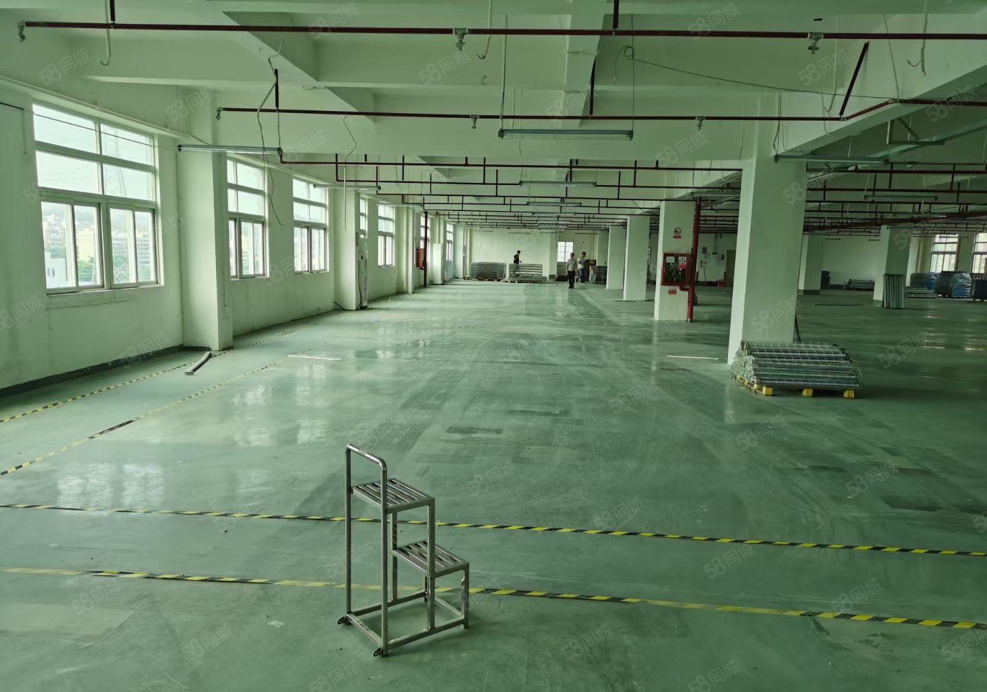 平湖富民原房东独院6000平方带装修厂房出租