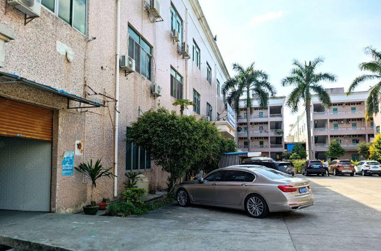 龙岗平湖辅城坳工业园1000平一楼层高5.5米厂房仓库低价租