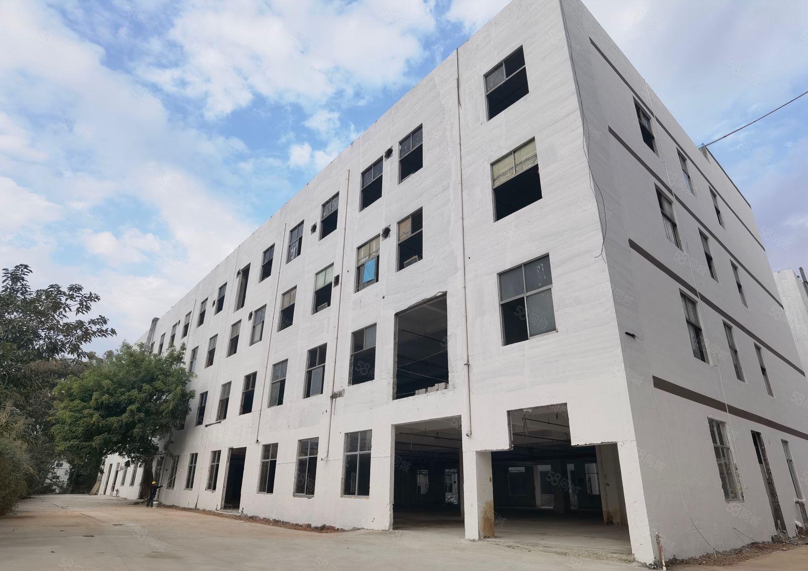 坂田雪象，整栋11500平方，可以分租，一共4层！