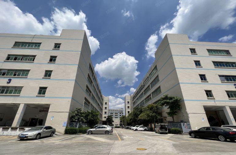 层高6.5米宝龙原房东工业区新出一楼3000平方仓库厂房出租