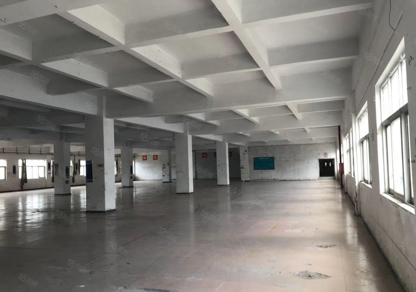 龙岗镇龙东厂房一楼2200平方米4楼1500平方米可分租