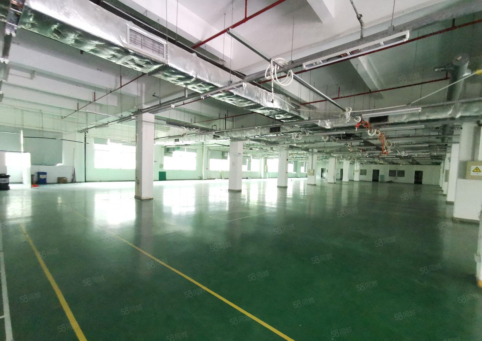 分租宝龙独栋厂房10000平单层面积2000平可分租500平