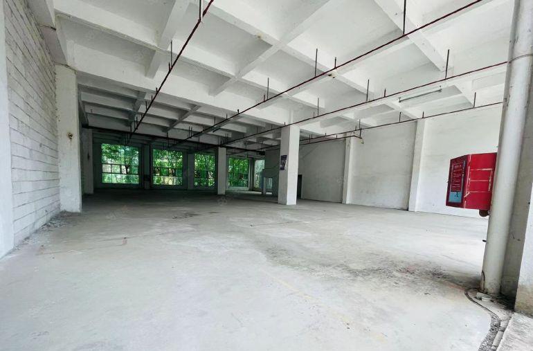 横岗园山独门独院直租特价15元原房东8000平空地