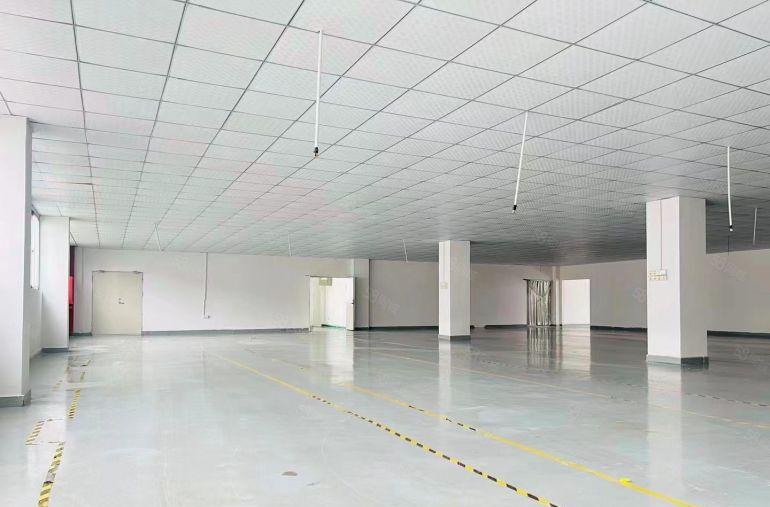 平湖华南城工业园200平至3000平一楼厂房电商办公仓库出租