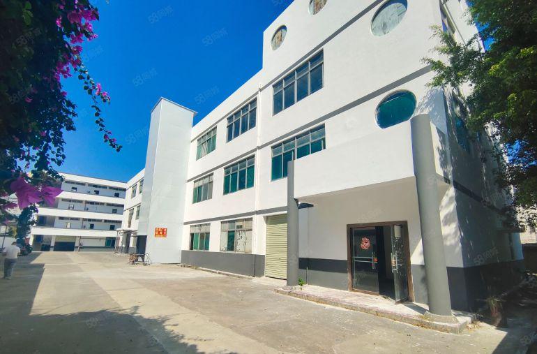 龙岗新生2000平原房东独门独院厂房低价16.8元每平出租