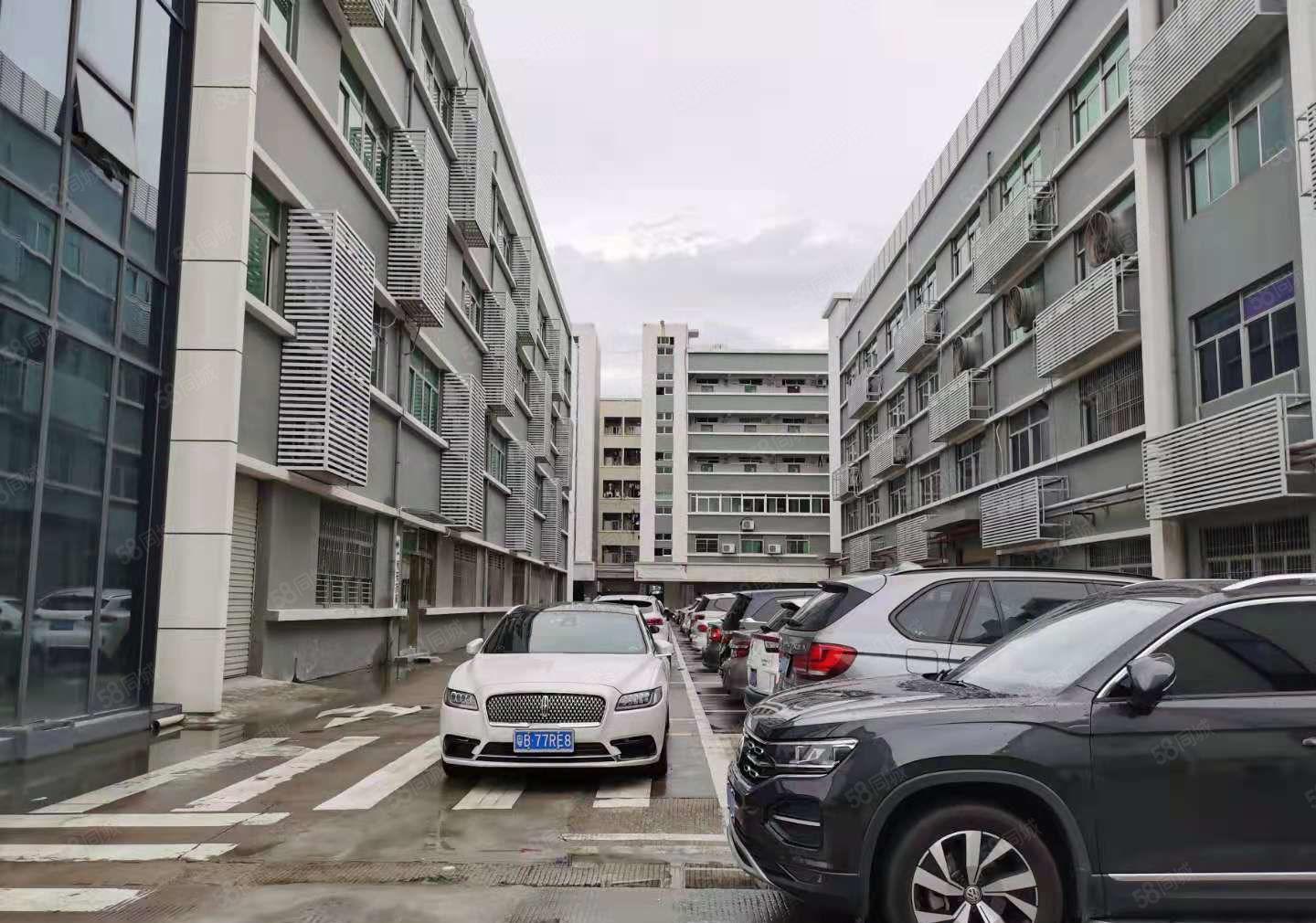 全面降价，，，，，龙岗爱联精装修1900平地铁口电商仓库出租