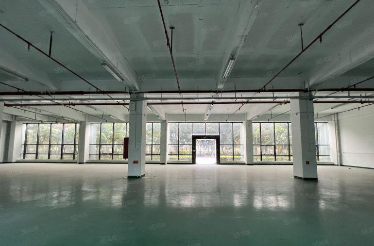 龙岗区同乐原房东一楼厂房1000平出租大小可分带装修交通便利