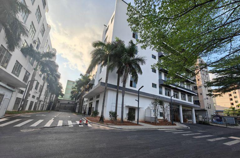 龙岗爱联原房东大型工业园楼上1000平方带精装办公室厂房出租