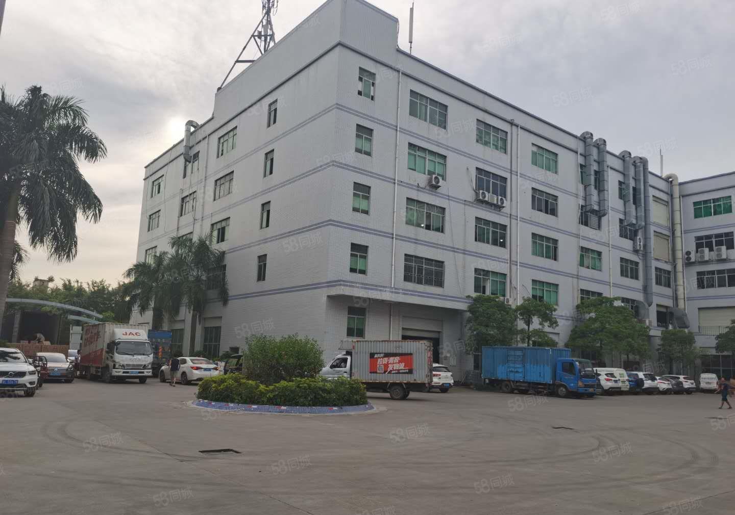 坪地新出1000平至5000平一二楼厂房仓库出租独院大小分租