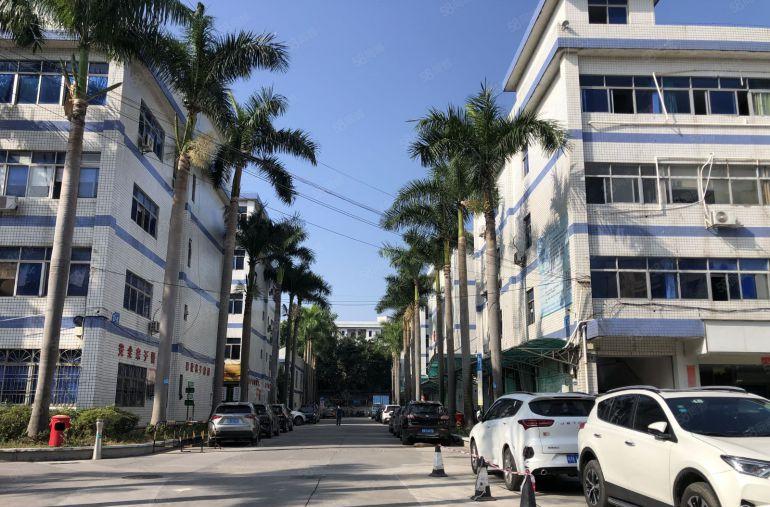 龙岗坪地原房东科技园楼上500平带装修办公室厂房出租 可分租