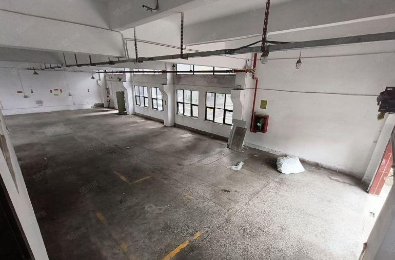 龙岗一楼独院厂房648平方送门口停车场地