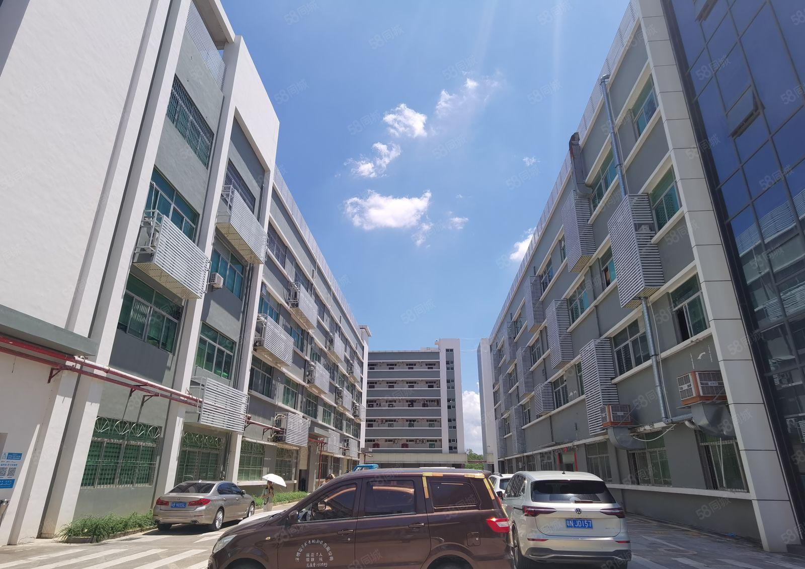 现成装修水电！1580平米！新生第三科技园低价厂房出租