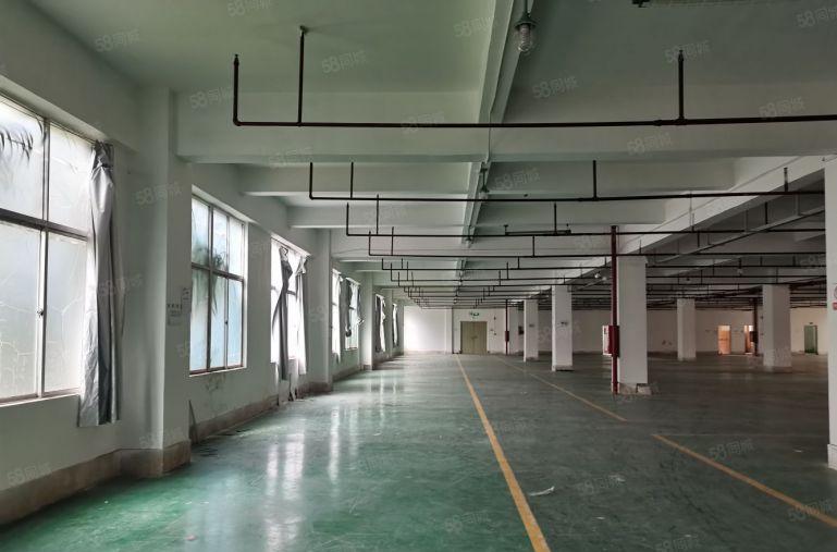 平湖鹅公岭工业区新出独院5000平厂房仓库出租500平起租