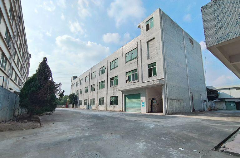 坪地原房东独院厂房5000平单层1500平空地大主干道边分租