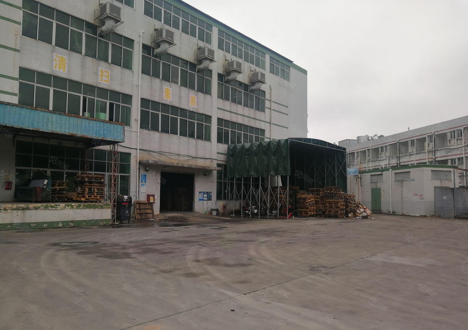 横岗原房东厂房出租1000平米大小可分租