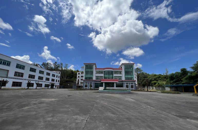 超长免租低价村委直租龙岗新空出9000平精装办公仓库厂房出租