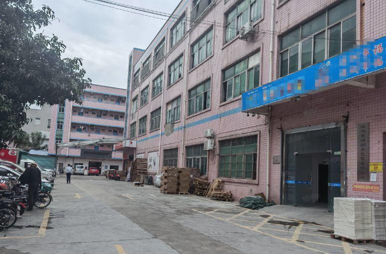 平湖独院新出一楼2100平方厂房仓库出租可分租空地大交通方便