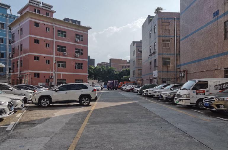 平湖，1000平，原房东，可办环评，大型园区，大车进出方便